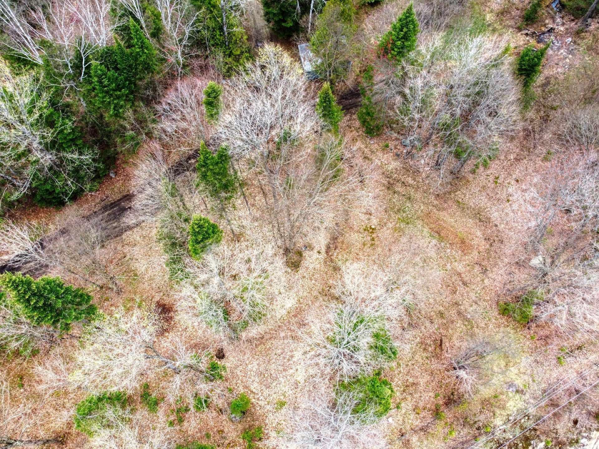 









6


Imp. des Pionniers

,
Lac-des-Plages,




QC
J0T1K0

