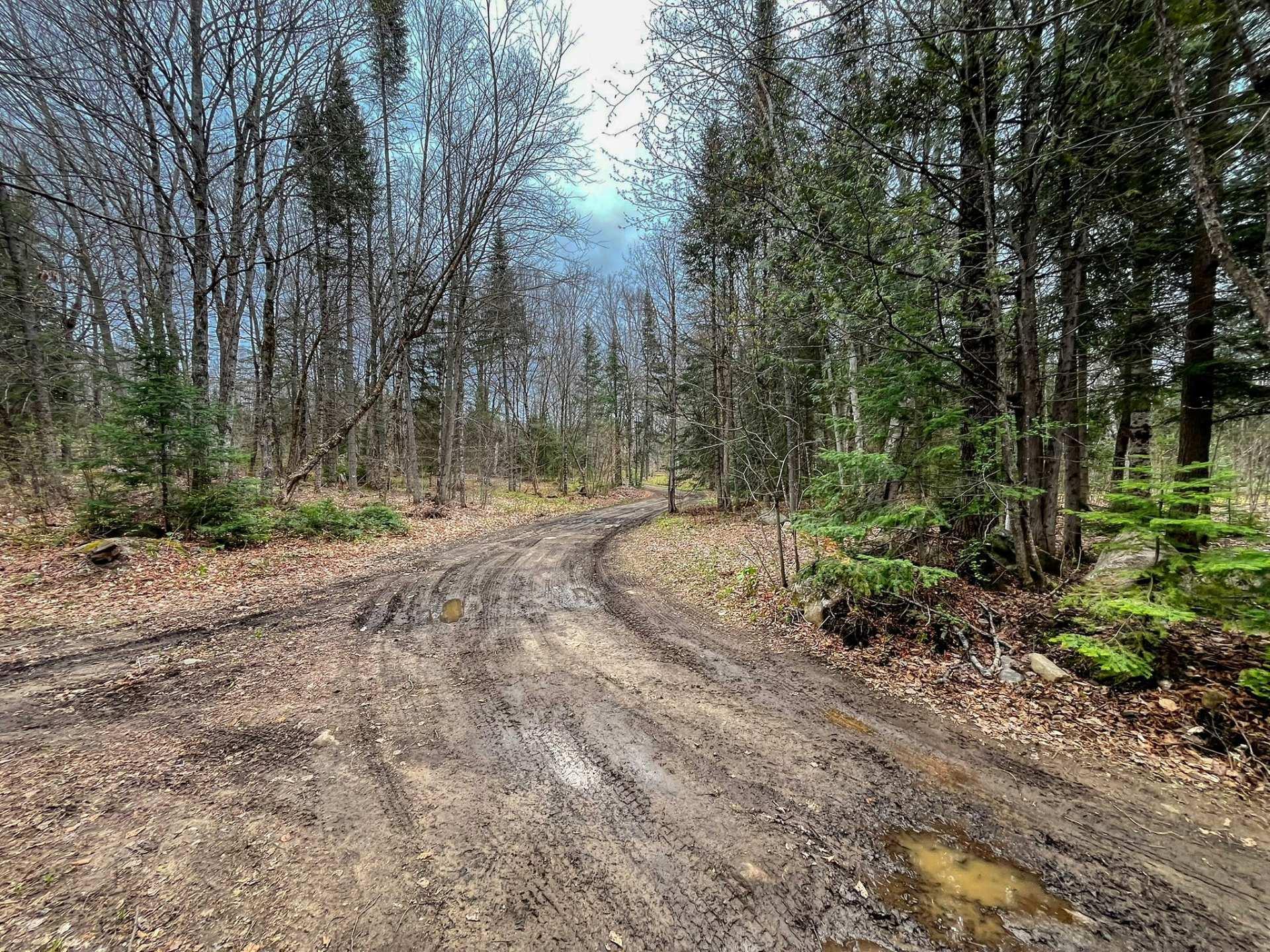 









6


Imp. des Pionniers

,
Lac-des-Plages,




QC
J0T1K0

