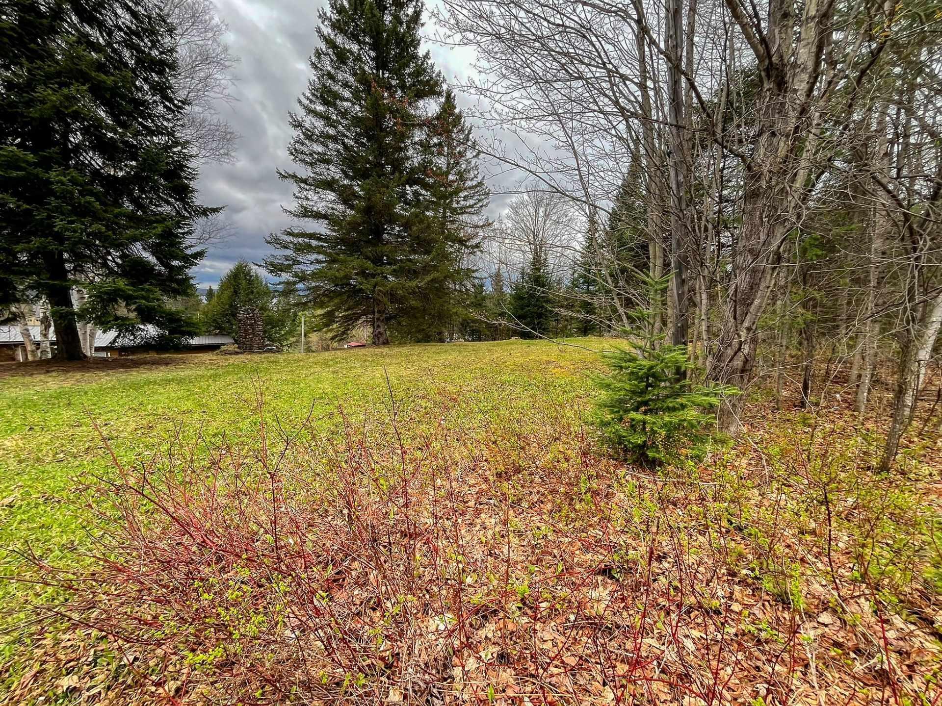 









6


Imp. des Pionniers

,
Lac-des-Plages,




QC
J0T1K0


