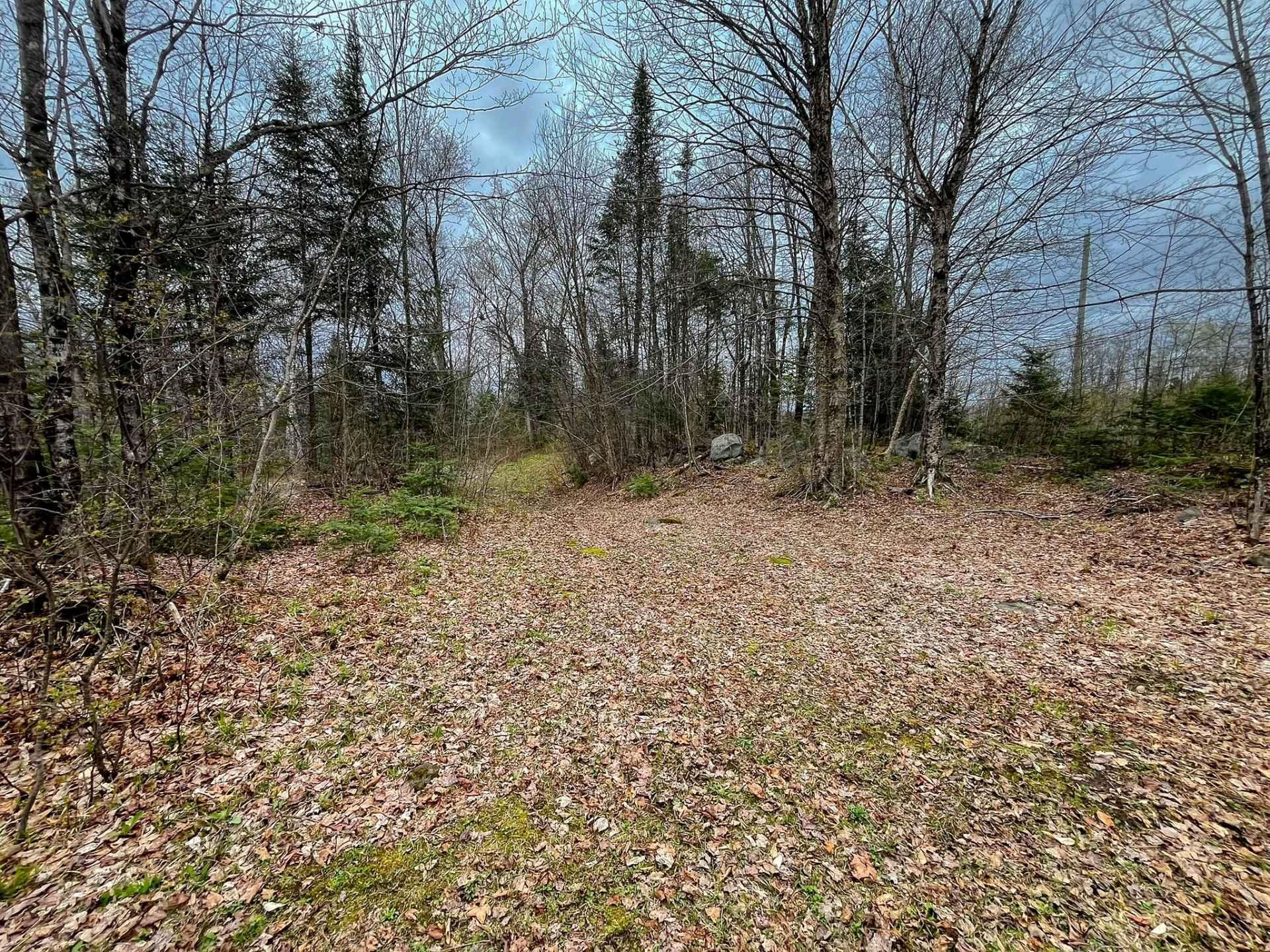 









6


Imp. des Pionniers

,
Lac-des-Plages,




QC
J0T1K0

