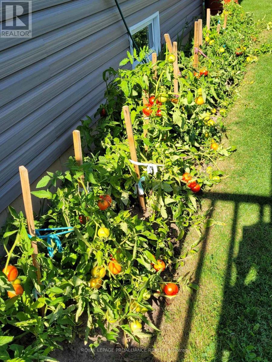 












25 CHATTEN ROAD

,
Brighton,




Ontario
K0K1H0


