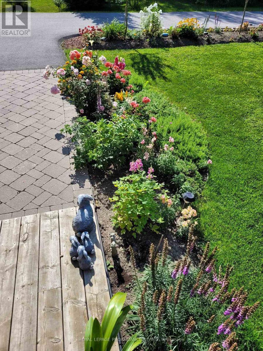 












25 CHATTEN ROAD

,
Brighton,




Ontario
K0K1H0

