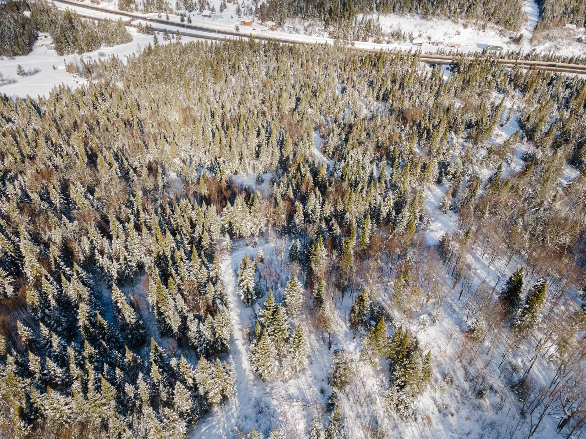 












Route 117

,
Ivry-sur-le-Lac,







QC
J8C2Z8

