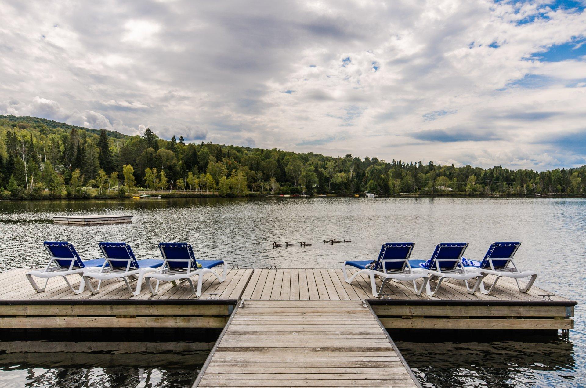 









2192


Ch. du Lac-Supérieur

, 2101,
Lac-Supérieur,




QC
J0T1P0

