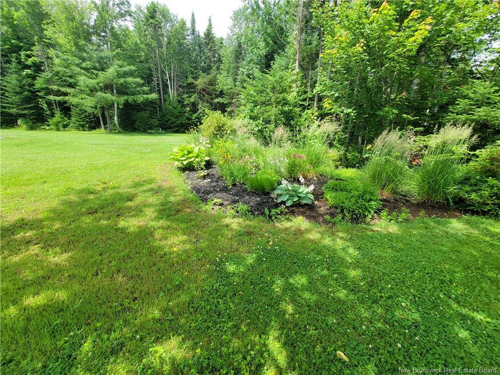 









1935


Palmer

,
Bathurst,




NB
E2A 4X7

