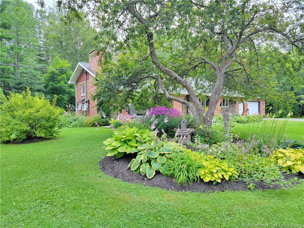









1935


Palmer

,
Bathurst,




NB
E2A 4X7

