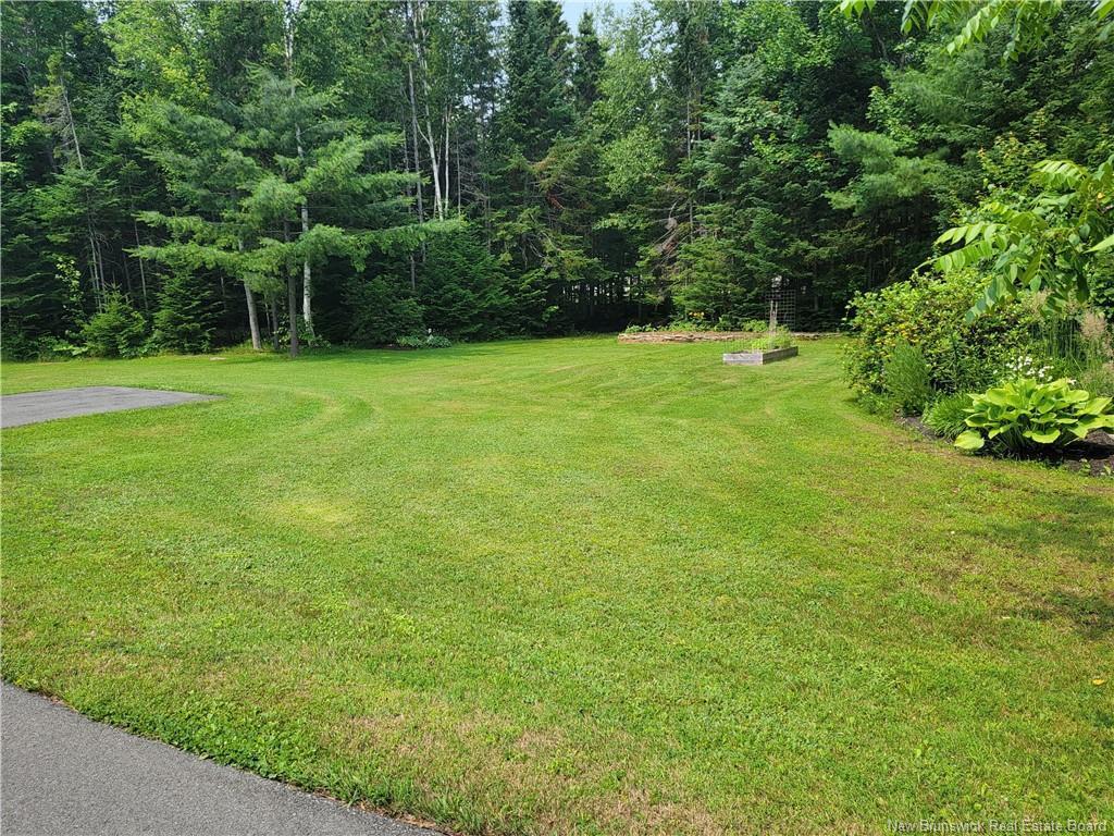









1935


Palmer

,
Bathurst,




NB
E2A 4X7

