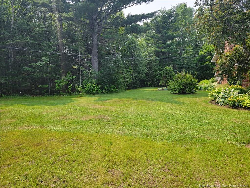 









1935


Palmer

,
Bathurst,




NB
E2A 4X7

