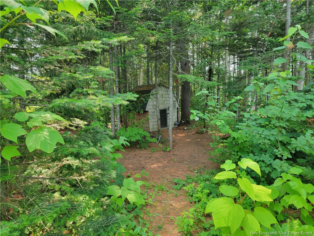 









1935


Palmer

,
Bathurst,




NB
E2A 4X7

