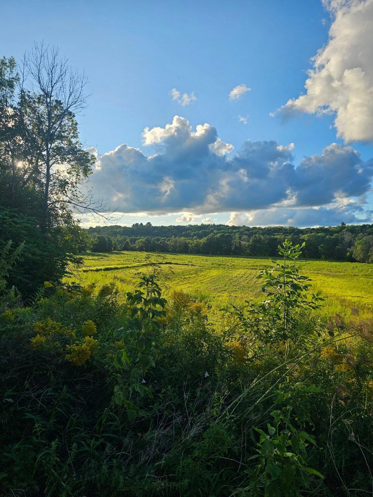 









10735


Route Sir-Wilfrid-Laurier

,
Mirabel,







QC
J7N1L8

