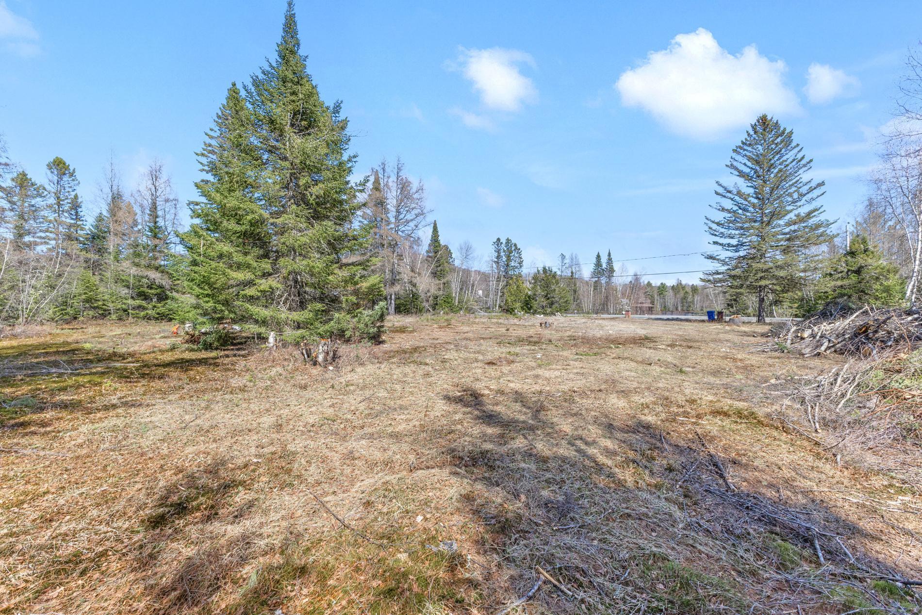 









243


Rue du Lac-Marier

,
Sainte-Marguerite-du-Lac-Masson,







QC
J0T1L0


