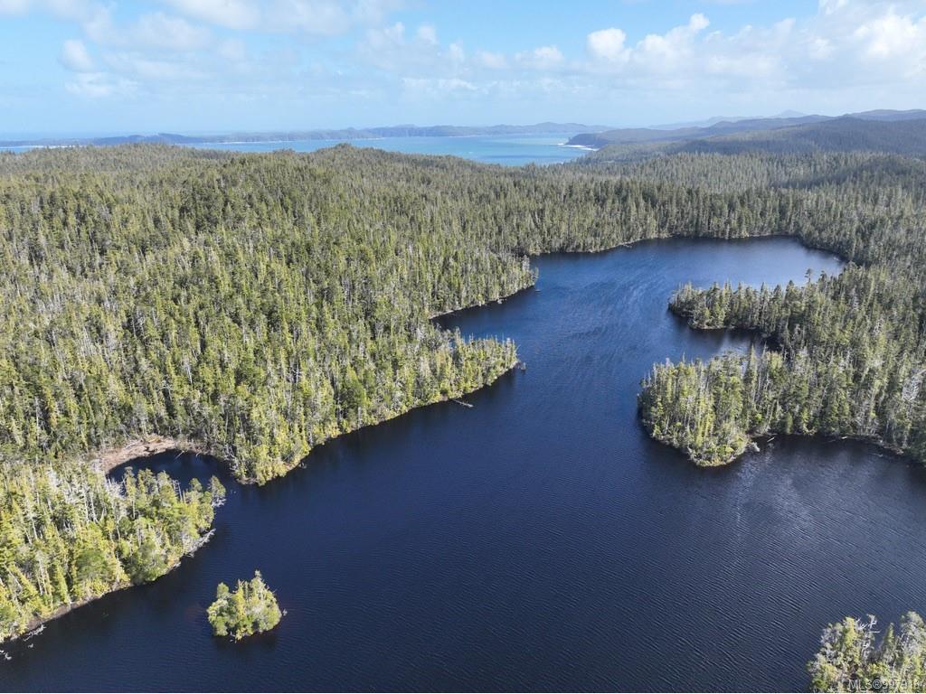 









1 Cape Sutil


Holberg

(Off) Hwy,
Port Hardy,







BC
V0N 2P0

