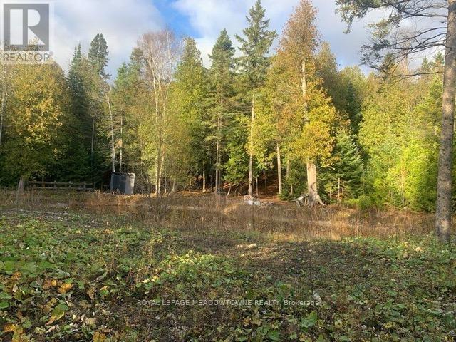 












126 HIGHLAND DRIVE

,
West Grey,







Ontario
N0C1H0

