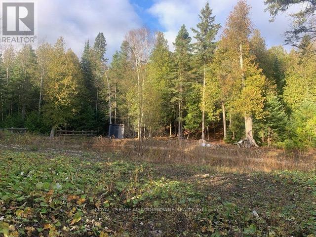 












126 HIGHLAND DRIVE

,
West Grey,







Ontario
N0C1H0

