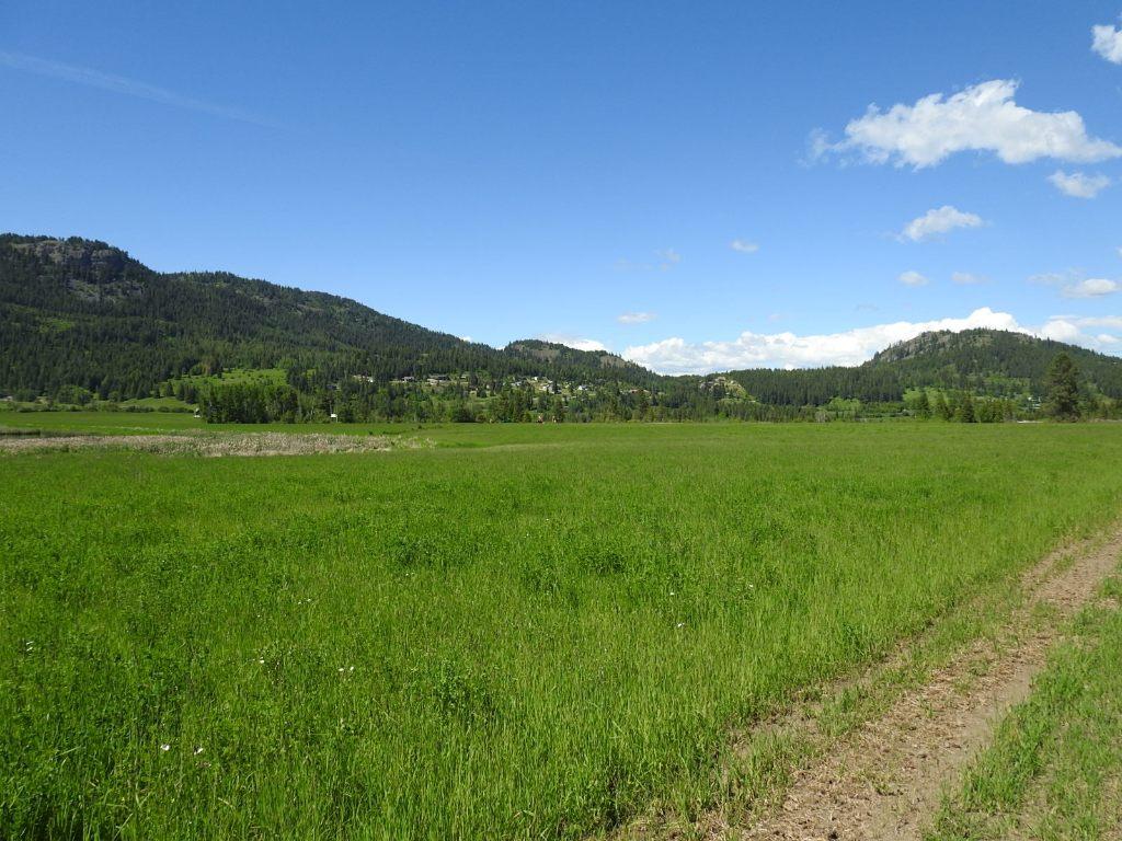 









1144


Tappen Valley

Road,
Tappen,







BC
V0E 2X3

