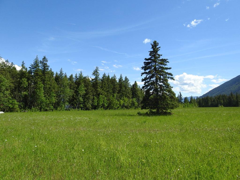 









1144


Tappen Valley

Road,
Tappen,







BC
V0E 2X3

