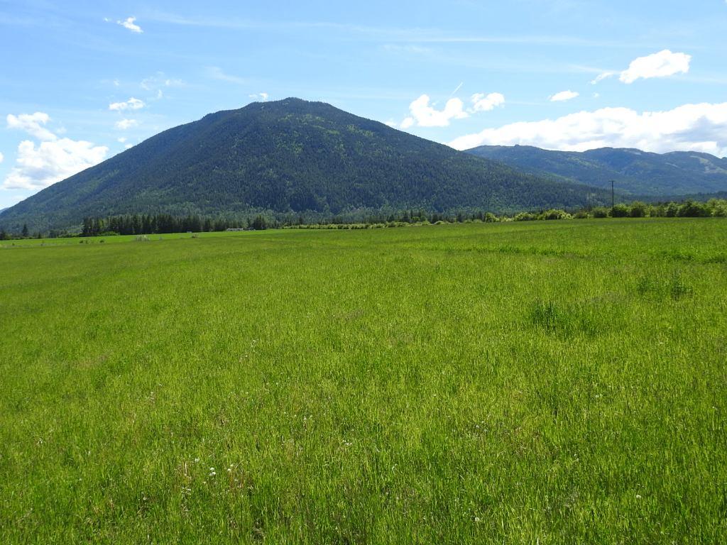









1144


Tappen Valley

Road,
Tappen,







BC
V0E 2X3

