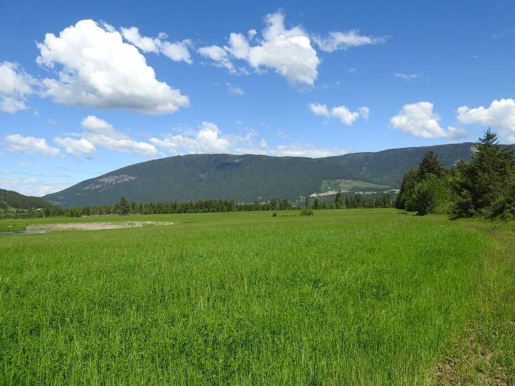 









1144


Tappen Valley

Road,
Tappen,







BC
V0E 2X3

