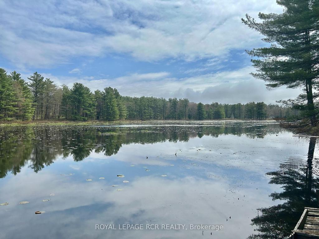 









3179


Pioneer

Road,
Severn,




ON
K0K 1E0


