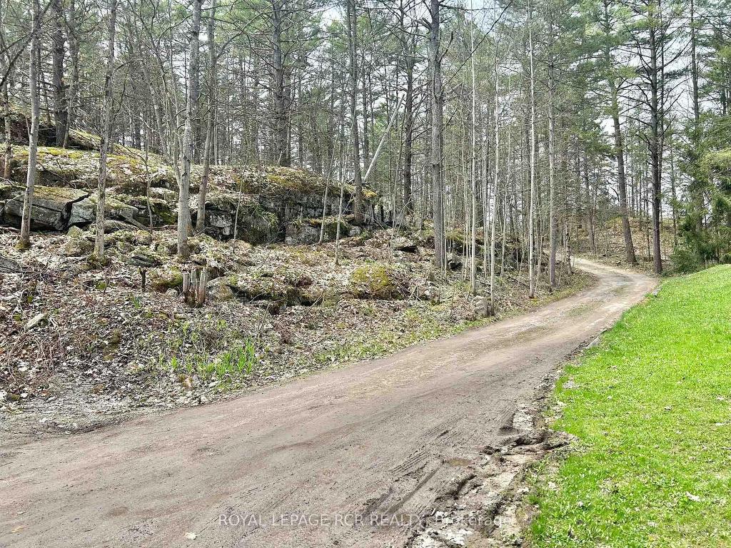 









3179


Pioneer

Road,
Severn,




ON
K0K 1E0

