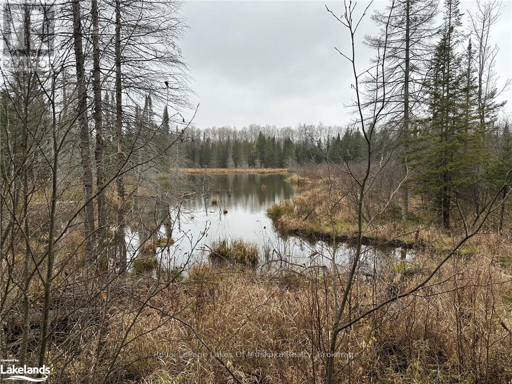 












LOT 3 HILL AND GULLY ROAD

,
Ryerson,







Ontario
P0A1C0

