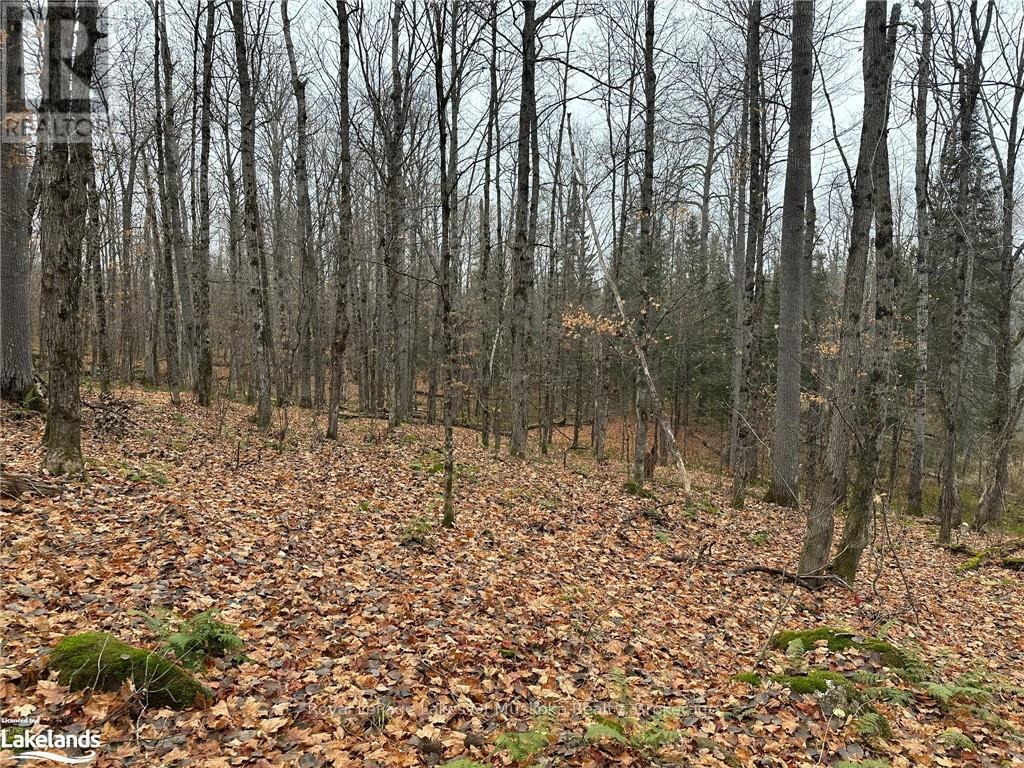 












LOT 3 HILL AND GULLY ROAD

,
Ryerson,







Ontario
P0A1C0

