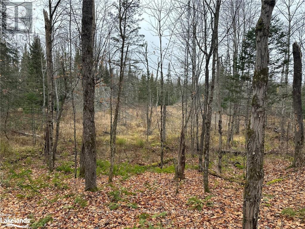 












LOT 3 HILL AND GULLY ROAD

,
Ryerson,







Ontario
P0A1C0

