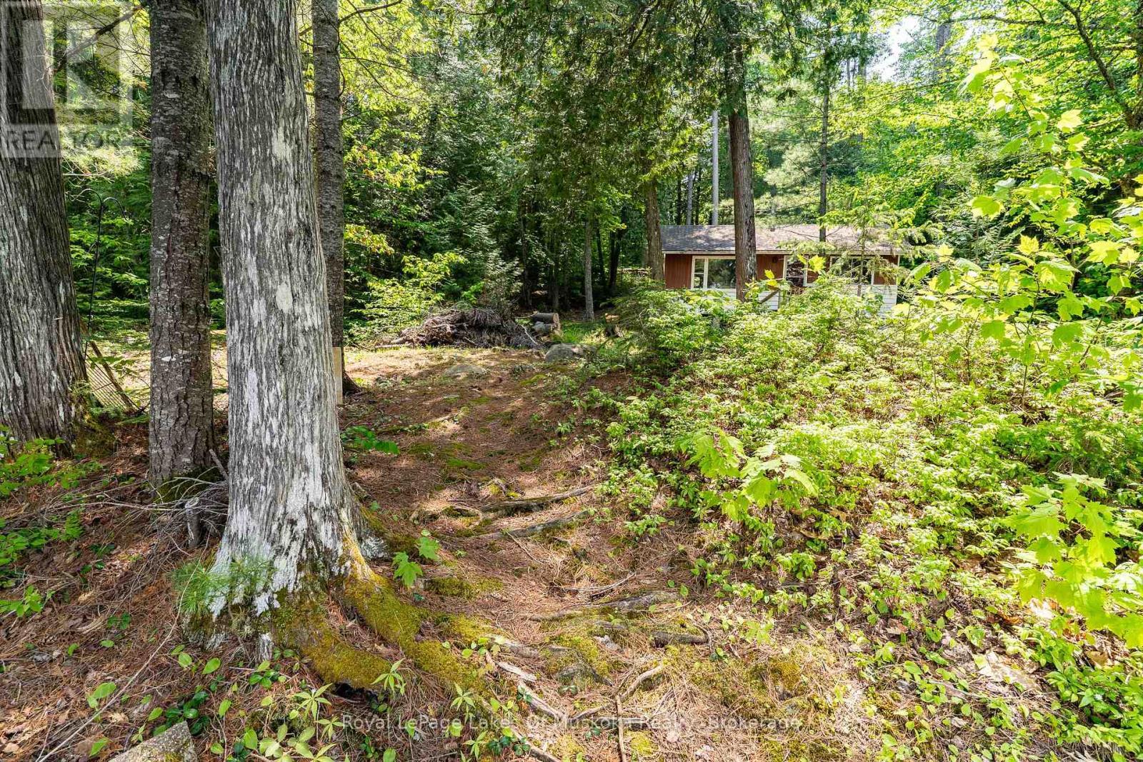 












1042 FARMER HAYS DRIVE

,
Algonquin Highlands (McClintock),




Ontario
P0A1E0

