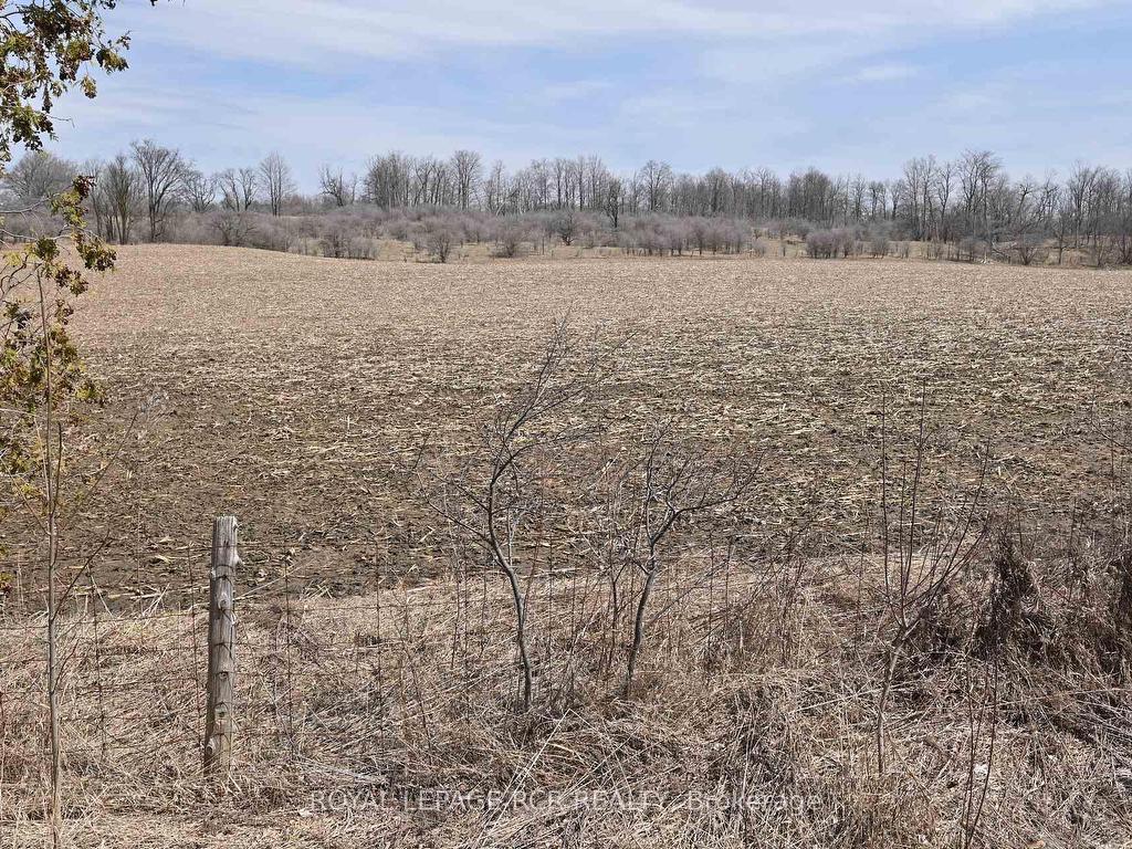 









PtLt 23


Con3 EHS Caledon Pt2

N/A, 43R10709,
Caledon,







ON
L7K 2A7

