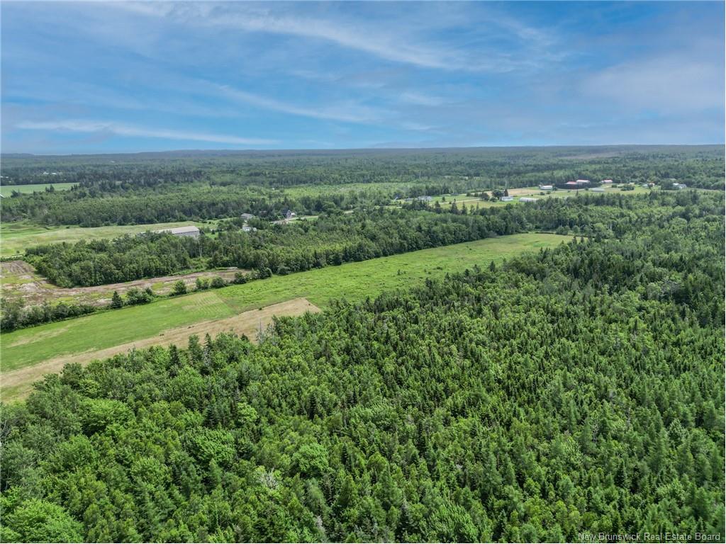 









872


Route 955

,
Murray Corner,




NB
E4M 3L2

