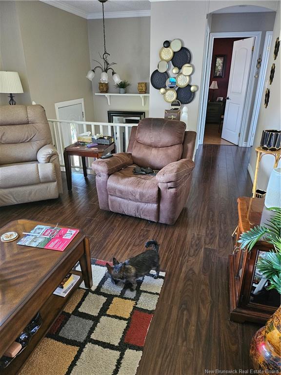 









4


Pine

,
Campbellton,




NB
E3N 3M5

