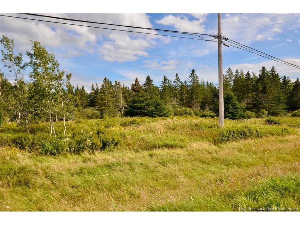 









Lot


Route 16

,
Pointe de Bute,







NB
E4Z 2N5

