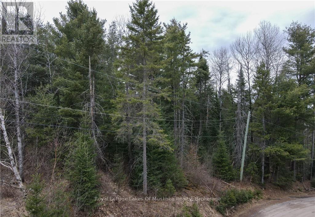 












00 OLD MUSKOKA ROAD

,
Perry (Emsdale),







Ontario
P0A1J0

