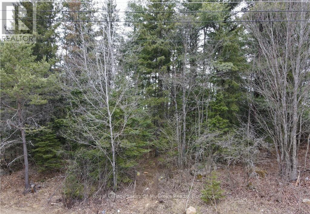 












00 OLD MUSKOKA ROAD

,
Perry (Emsdale),







Ontario
P0A1J0

