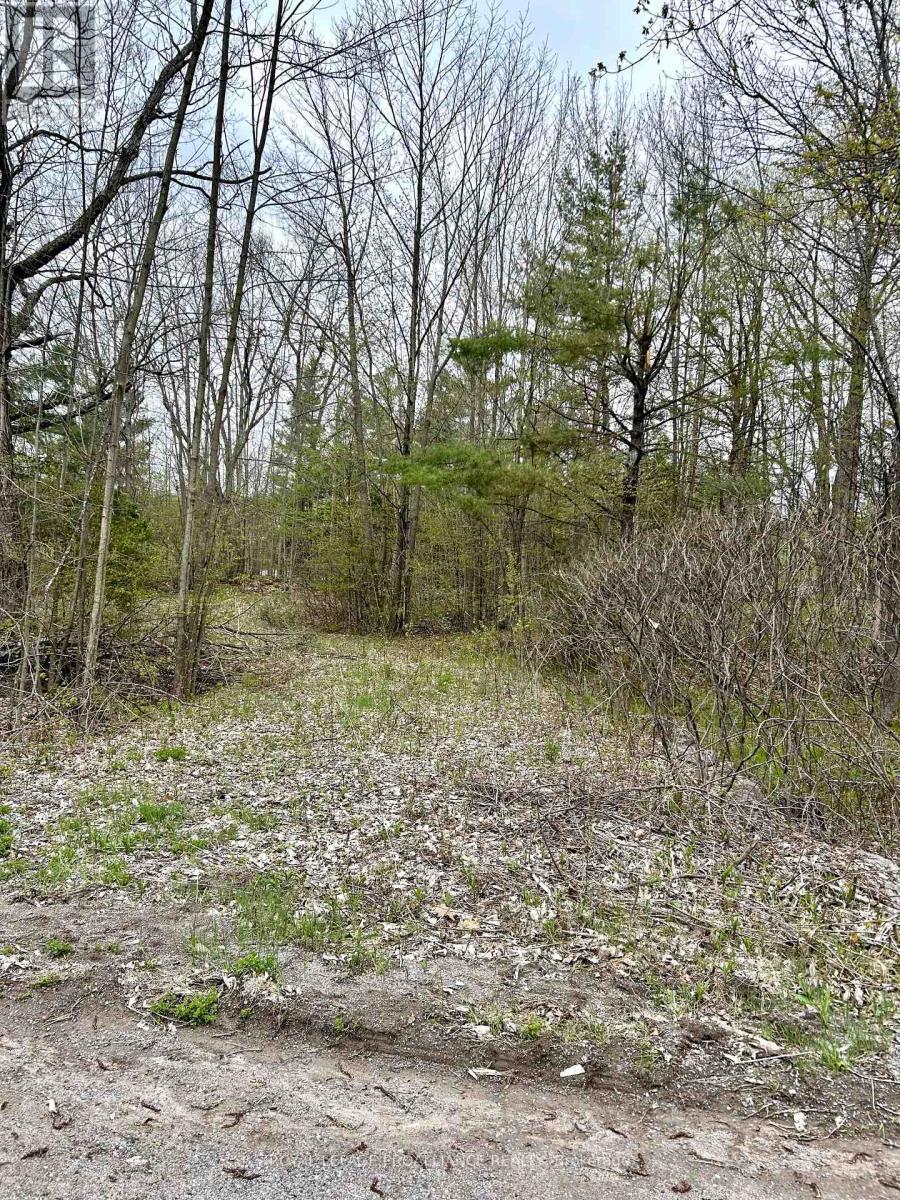 












31 GLEN RIDGE ROAD

,
Marmora and Lake (Marmora Ward),







Ontario
K0K2M0


