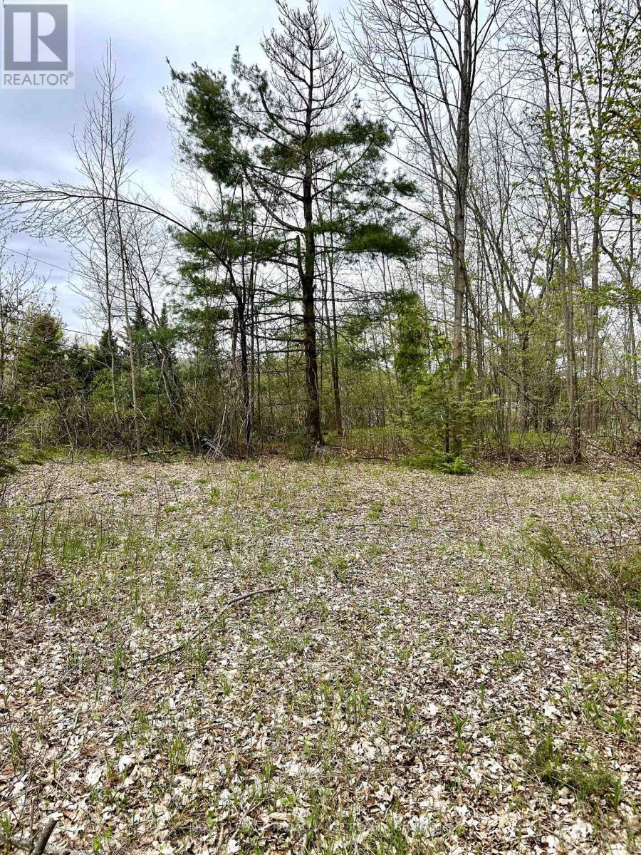 












31 GLEN RIDGE ROAD

,
Marmora and Lake (Marmora Ward),







Ontario
K0K2M0

