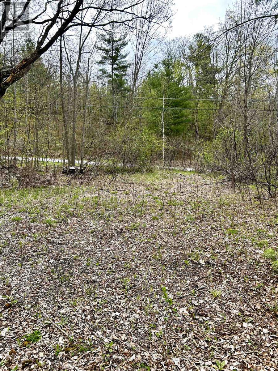 












31 GLEN RIDGE ROAD

,
Marmora and Lake (Marmora Ward),







Ontario
K0K2M0

