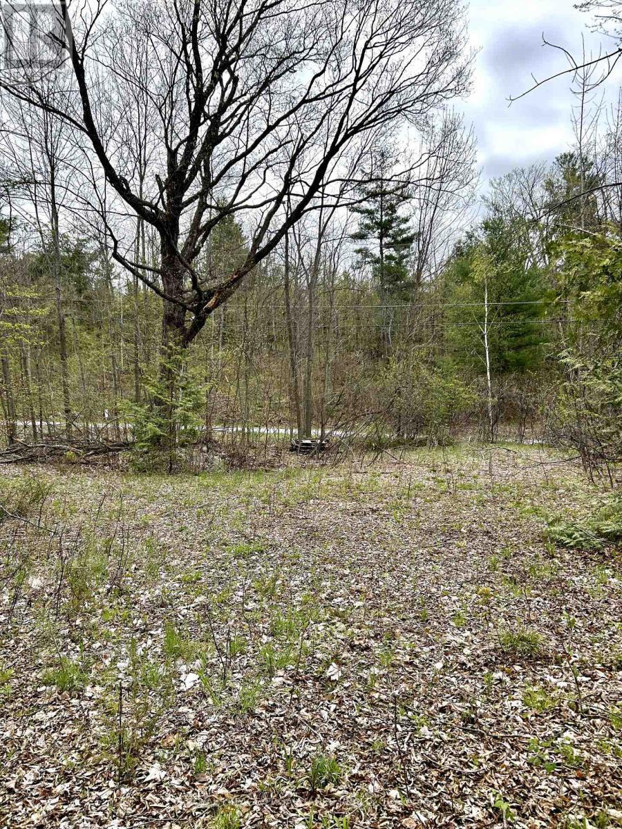 












31 GLEN RIDGE ROAD

,
Marmora and Lake (Marmora Ward),







Ontario
K0K2M0

