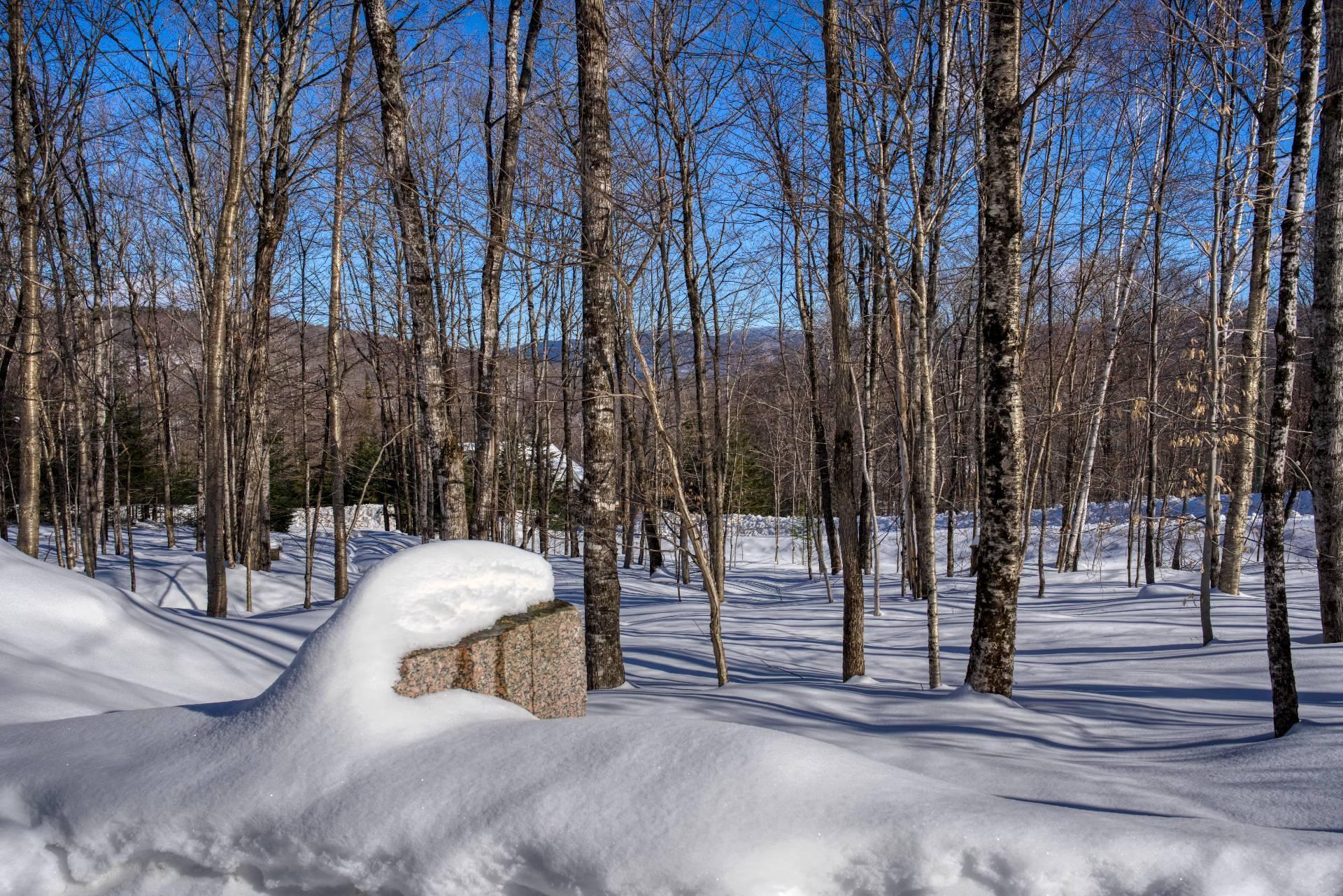 









75


Ch. Marc-Aurèle-Fortin

,
Mont-Tremblant,




QC
J8E3N1

