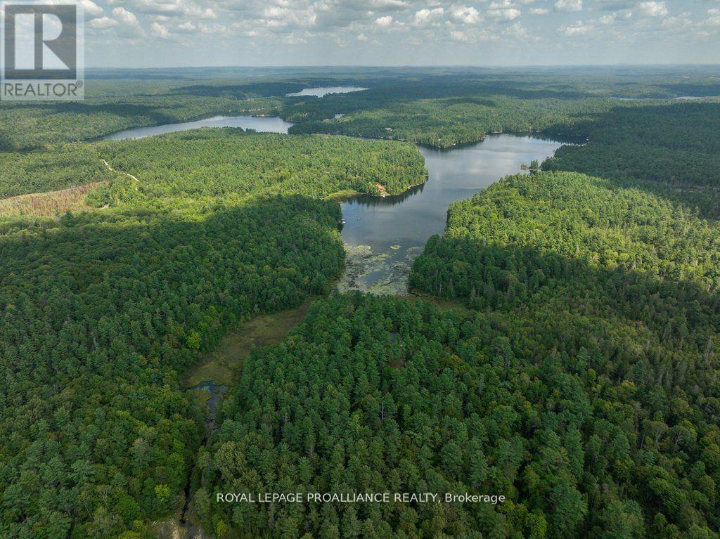 












1812 NORWAY-LAKE LANE

,
North Frontenac (Frontenac North),




Ontario
K0H2M0

