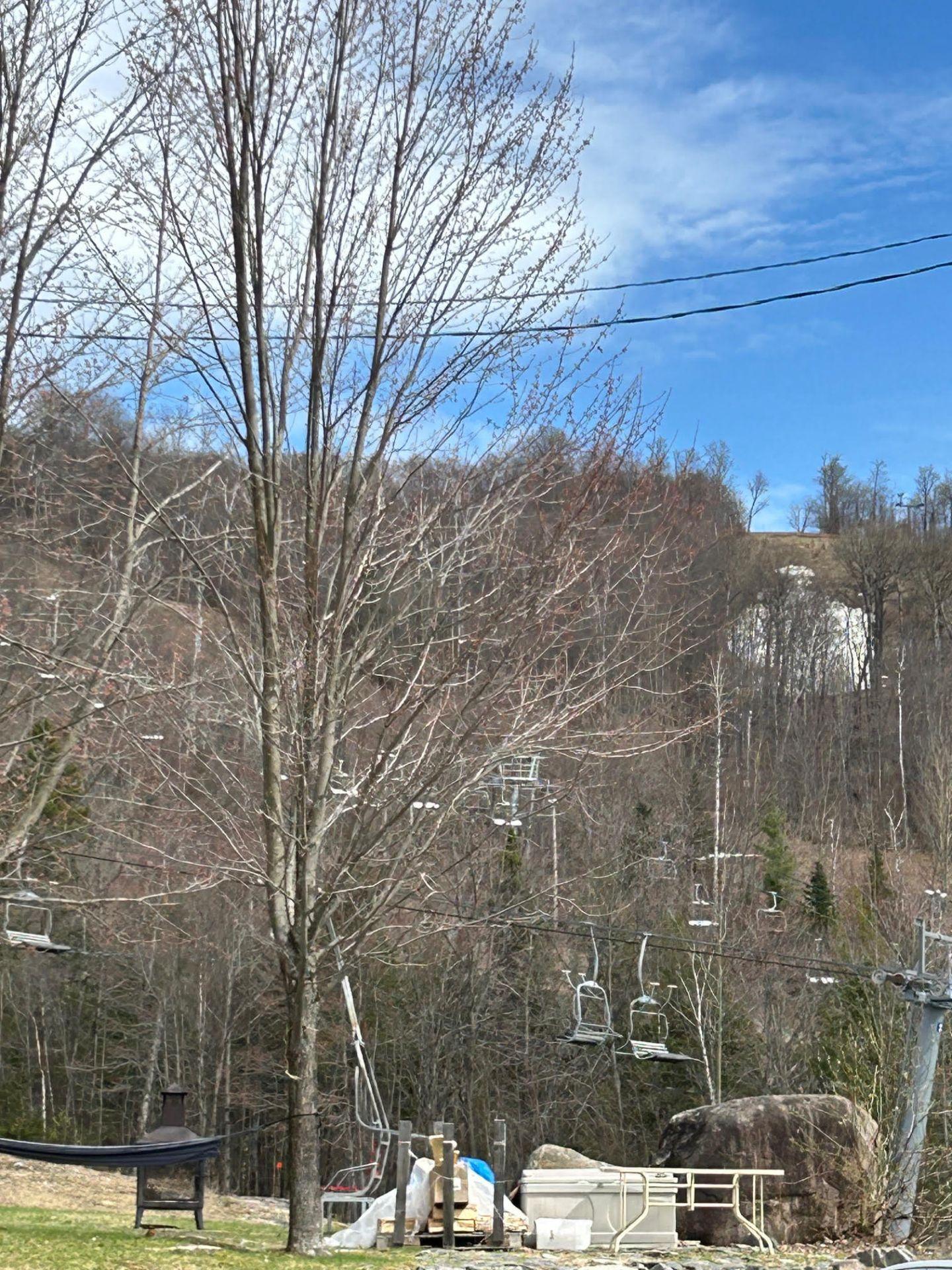 









362


Ch. Valanza

,
Piedmont,




QC
J0R1K0

