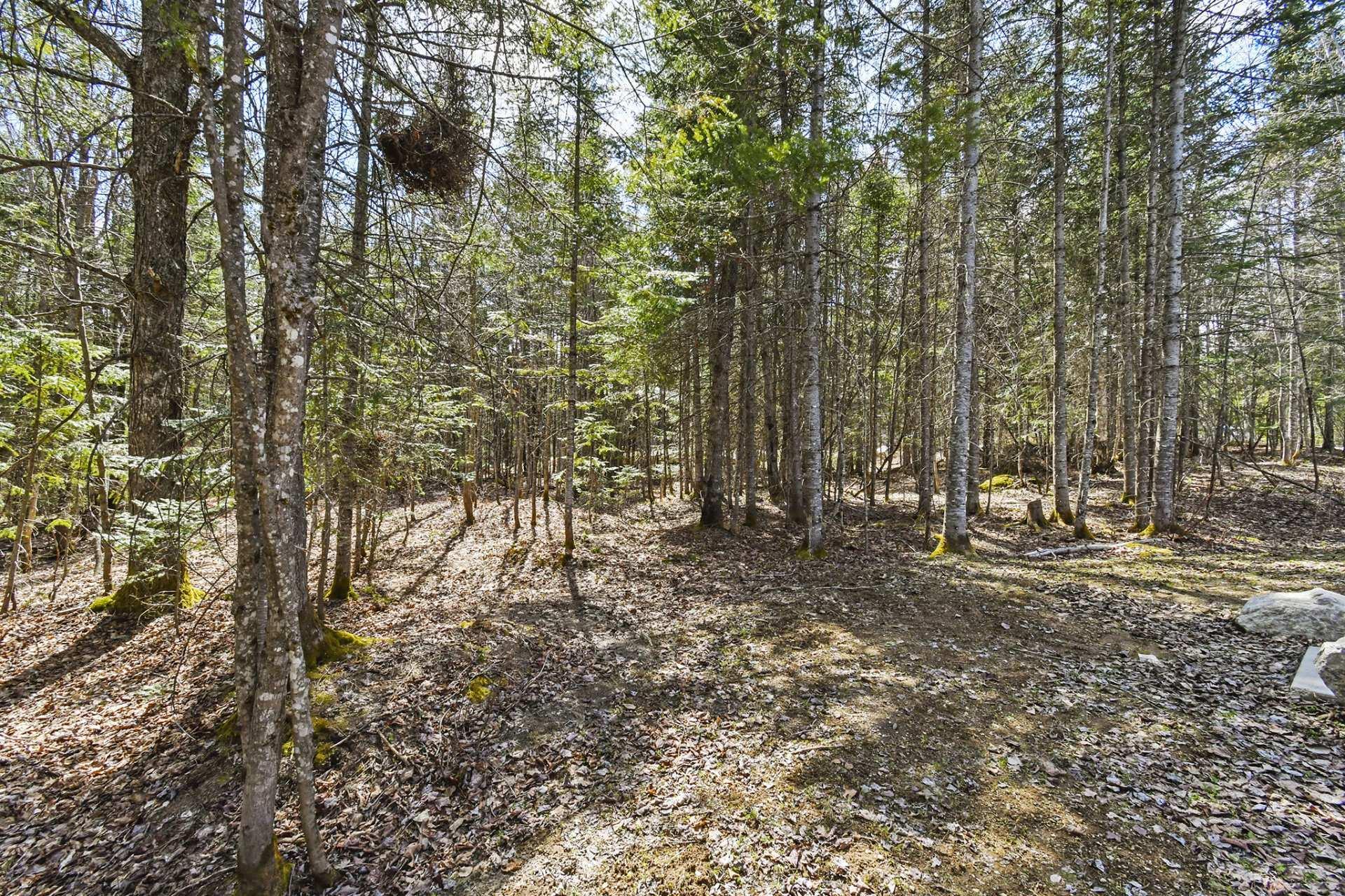 









918


Ch. du Pont-Rouge

,
Notre-Dame-de-la-Merci,




QC
J0T2A0

