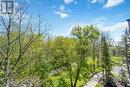 View from Patio