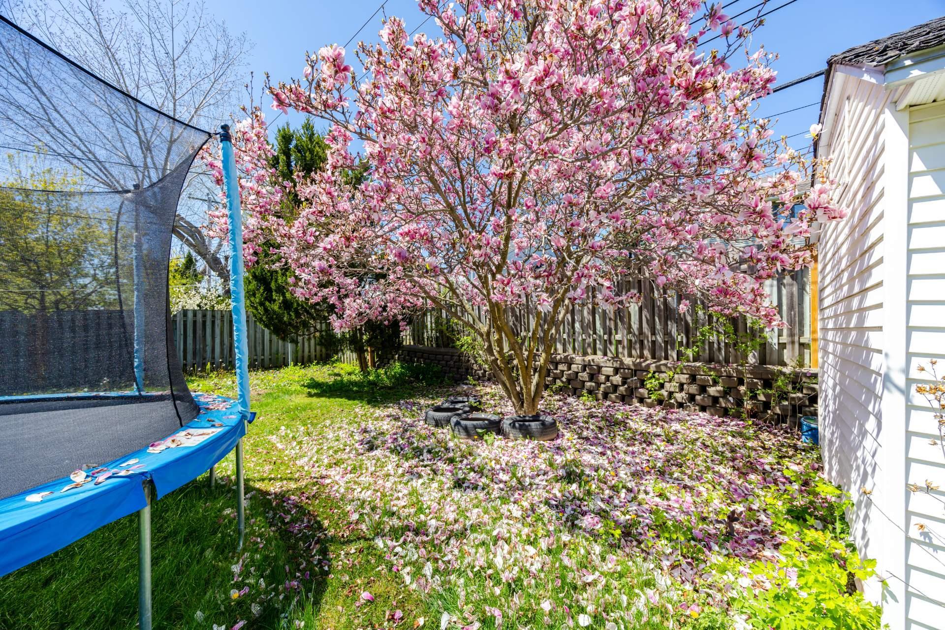 









129


Rue Houde

,
Kirkland,




QC
H9J3A8

