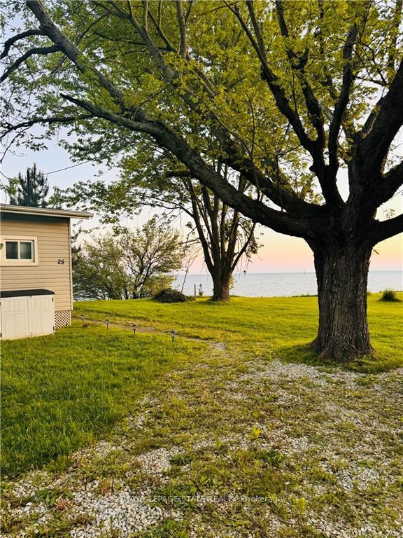 









25


Erie Heights

Line,
Haldimand,




ON
N0A 1K0

