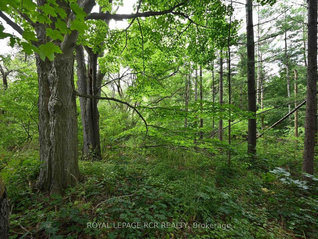 









Lot 437


South River

Road,
Centre Wellington,







ON
N0B 1S0

