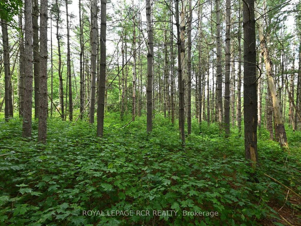 









Lot 437


South River

Road,
Centre Wellington,







ON
N0B 1S0

