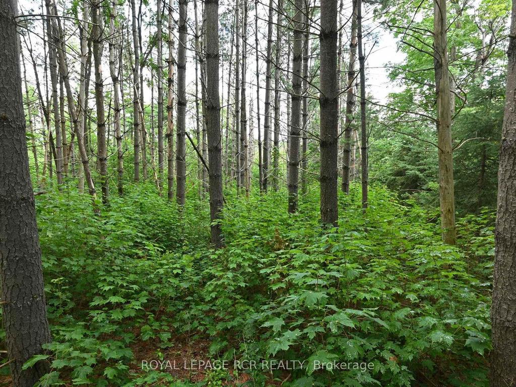 









Lot 437


South River

Road,
Centre Wellington,







ON
N0B 1S0

