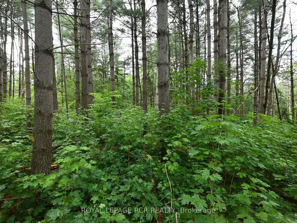 









Lot 437


South River

Road,
Centre Wellington,







ON
N0B 1S0


