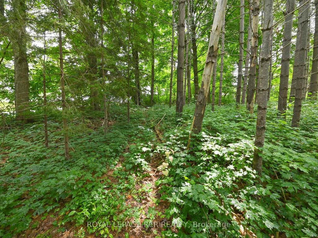 









Lot 437


South River

Road,
Centre Wellington,







ON
N0B 1S0

